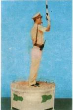 Hình minh hoạ câu 37